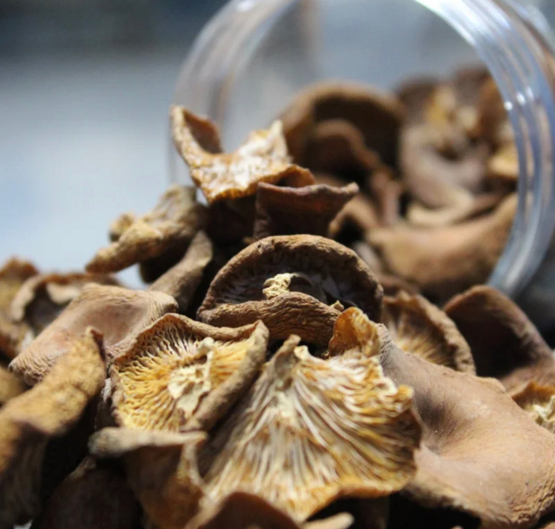 Dried Wild Candy Cap Mushrooms