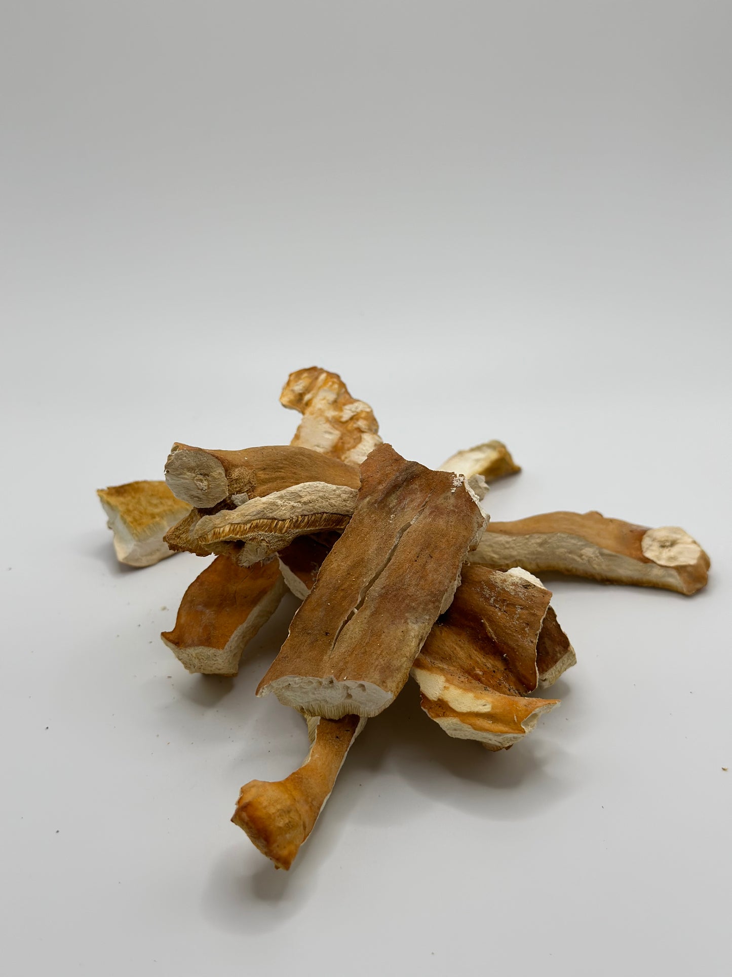 Dried Wild Chicken of the Woods 1 oz.