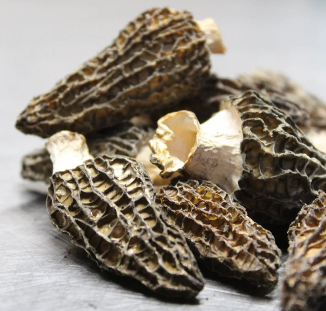 Dried Wild Morel Mushrooms 1 oz.
