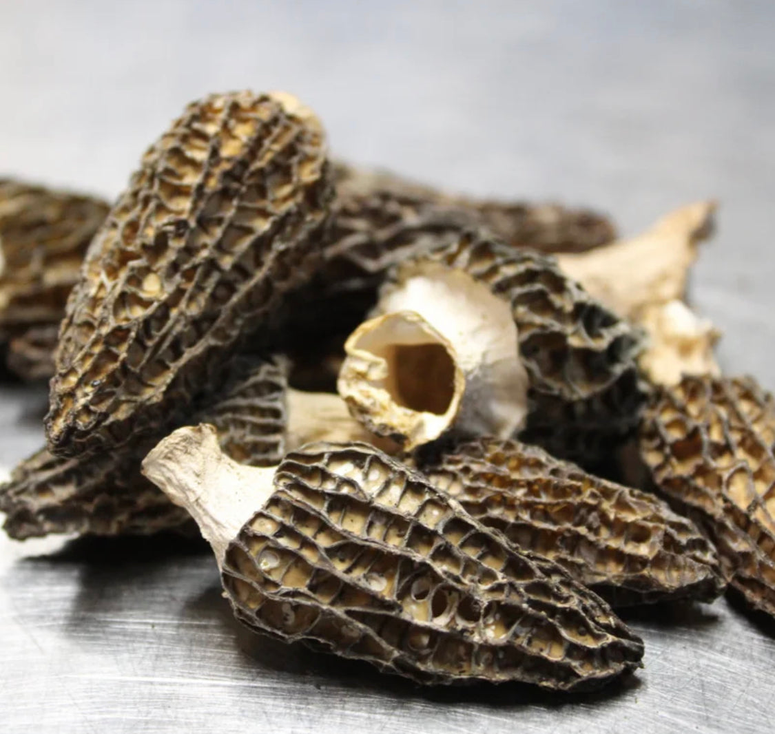 Dried Wild Morel Mushrooms 16 oz.