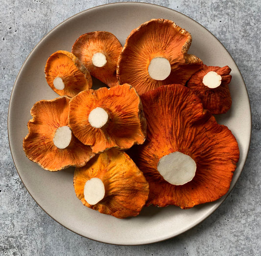 Fresh Wild Harvested Lobster Mushrooms