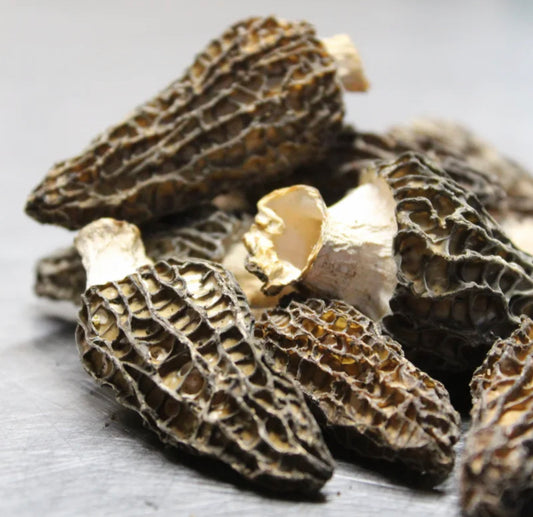 Dried Wild Morel Mushrooms 16 oz.