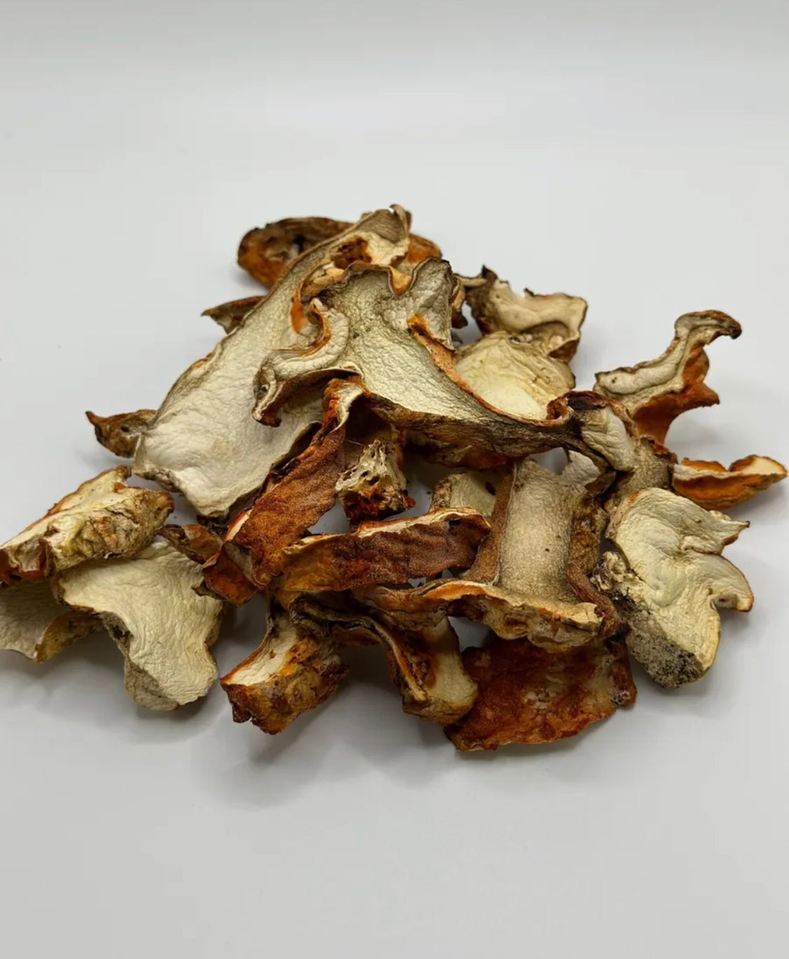 Dried Wild Lobster Mushrooms 1 oz.
