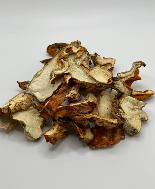 Dried Wild Lobster Mushrooms 1 oz.