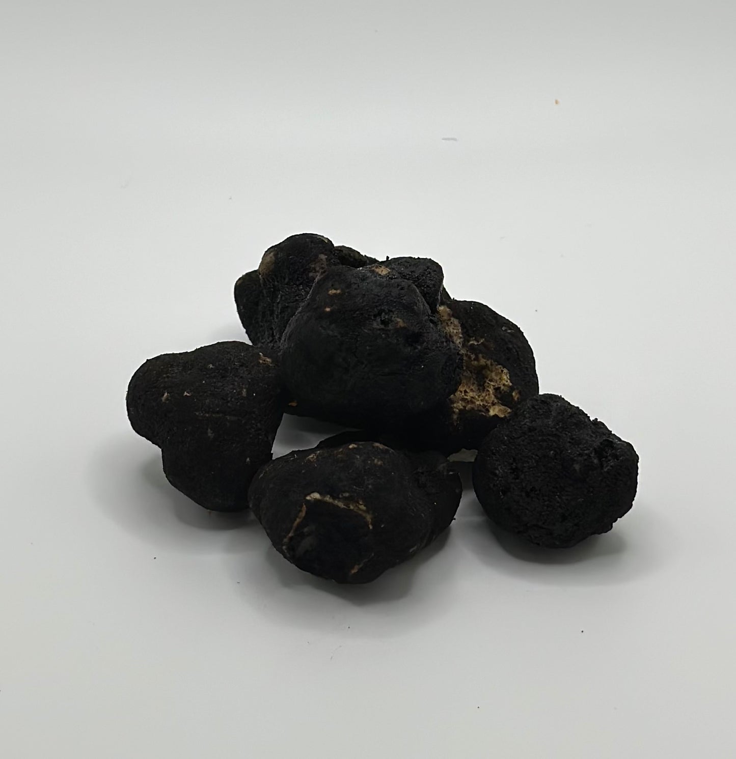 Fresh Whole Oregon Black Truffles 1 lb.