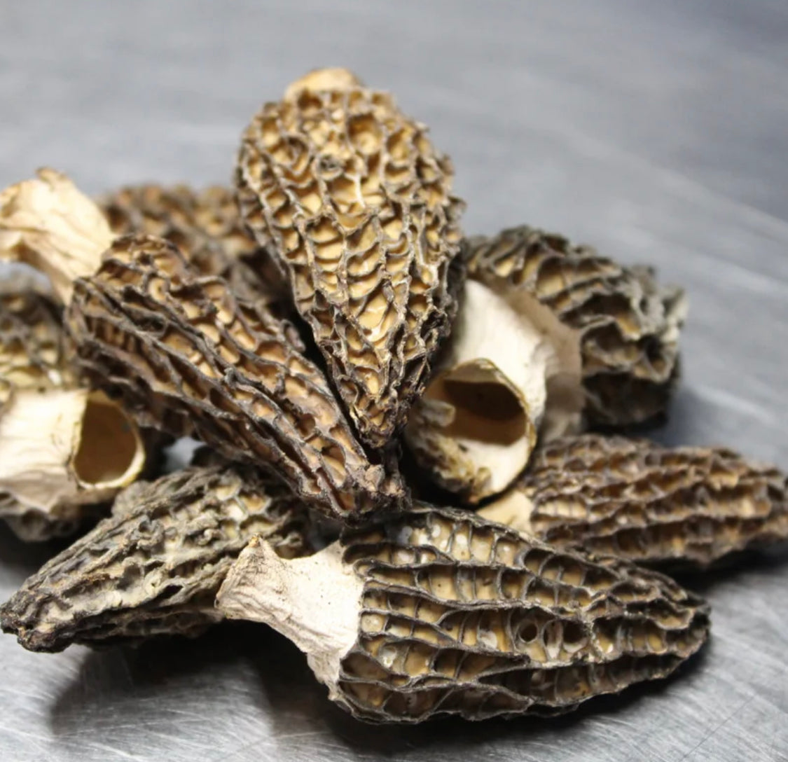 Dried Wild Morel Mushrooms 16 oz.