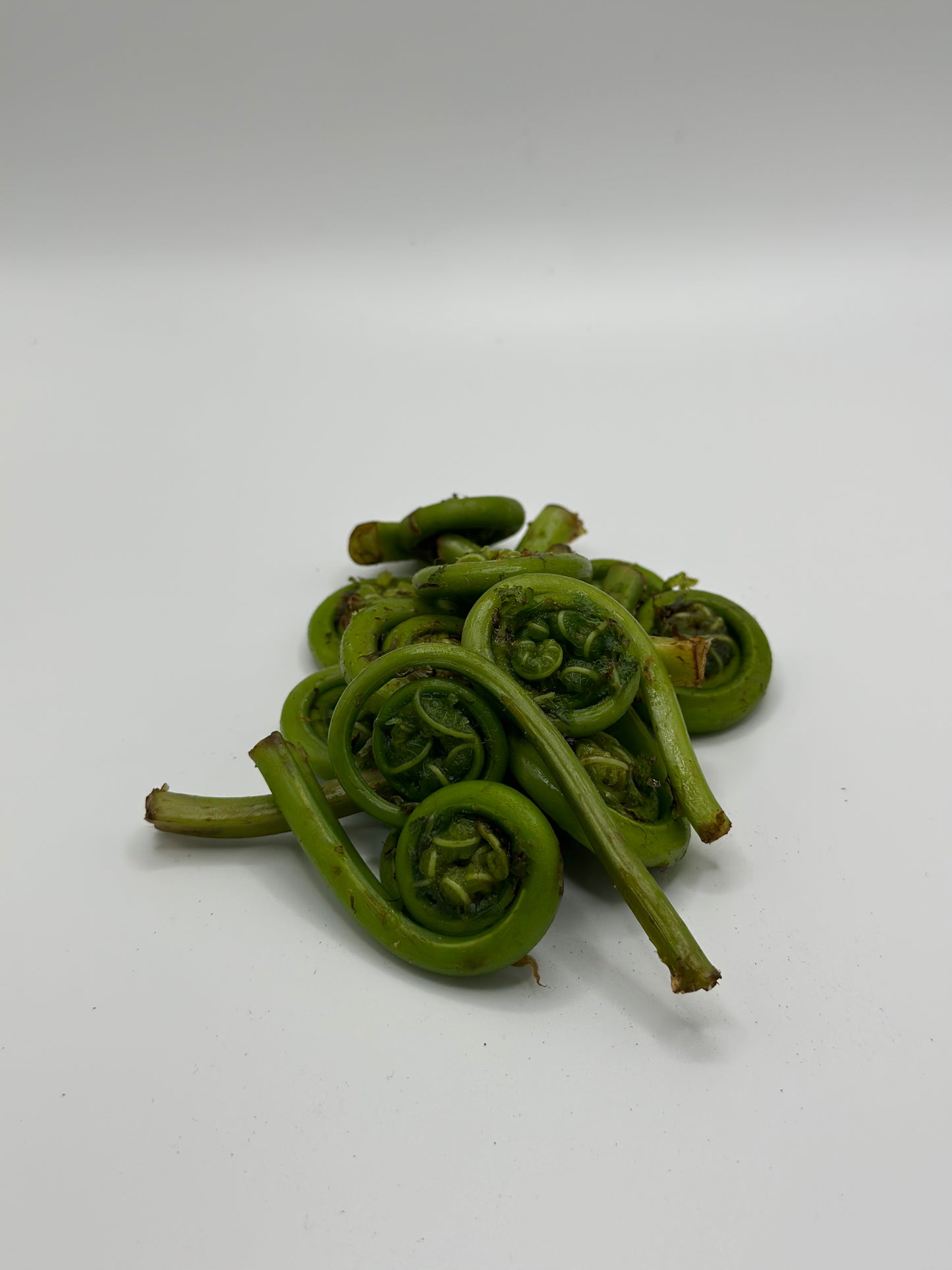 Fresh Oregon Fiddlehead Ferns 1 lb.