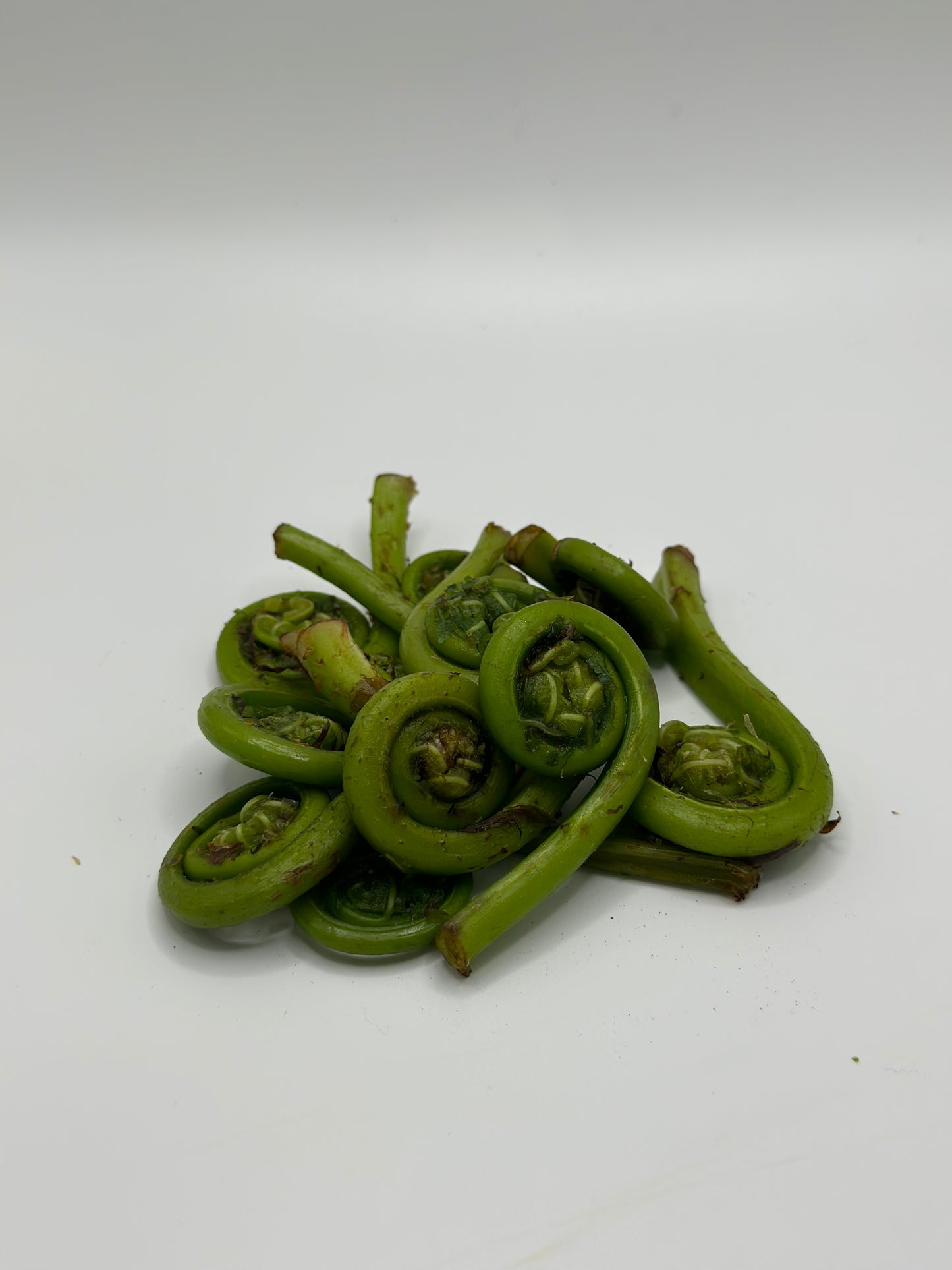 Fresh Oregon Fiddlehead Ferns 1 lb.