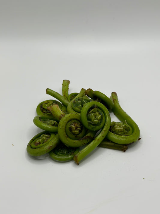 Fresh Oregon Fiddlehead Ferns 1 lb.