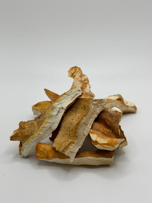 Dried Wild Chicken of the Woods 1 oz.
