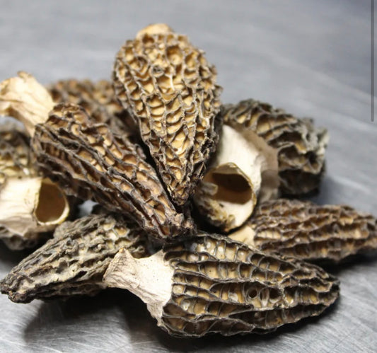 Dried Wild Morel Mushrooms 1 oz.